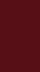 HZ 010 PD - New Maroon
