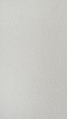 HZ 031 PD - Silver Charm