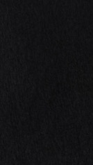 HZ 032 PG - Silver Charm Solid Brush Glossy