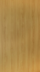 HZ 101 D - Light European Maple