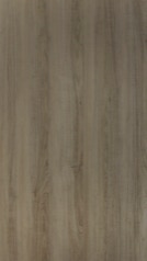 HZ 2009 SD - Gina Itadori Elm