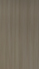 HZ 2014 SD - Karla Tivoli Elm