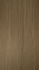 HZ 2017 HD - Altai Elm