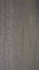 HZ 2022 D8 - Basel Elm