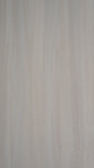 HZ 2025 SM - Swiss Elm