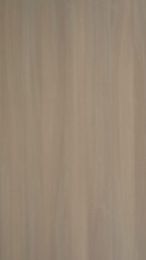 HZ 2026 SM - Natural Swiss Elm