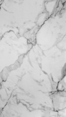 HZ 2910 SD - Milky Ramone