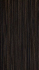 HZ 803 G - Straighly Ebony Glossy