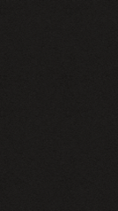 NS 06