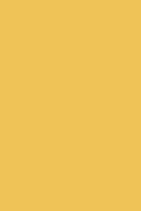 hz 056 pd - Golden Yellow homega