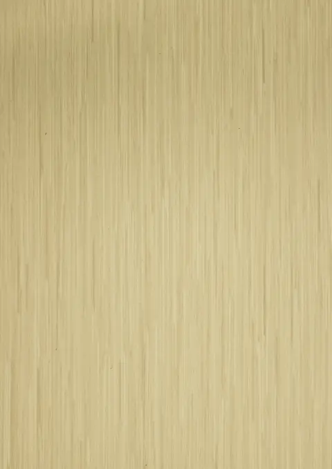 HZ 1901 D Classical Bamboo