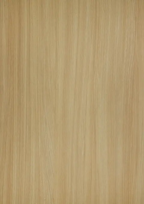 HZ 2003 D Noble Elm Wood