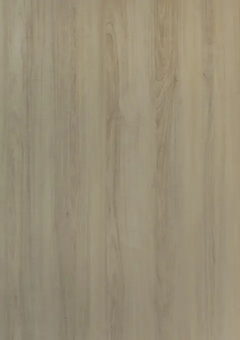 HZ 2009 SD Gina Itadori Elm