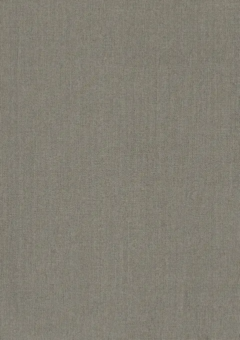HZ 3023 D Clay Textile