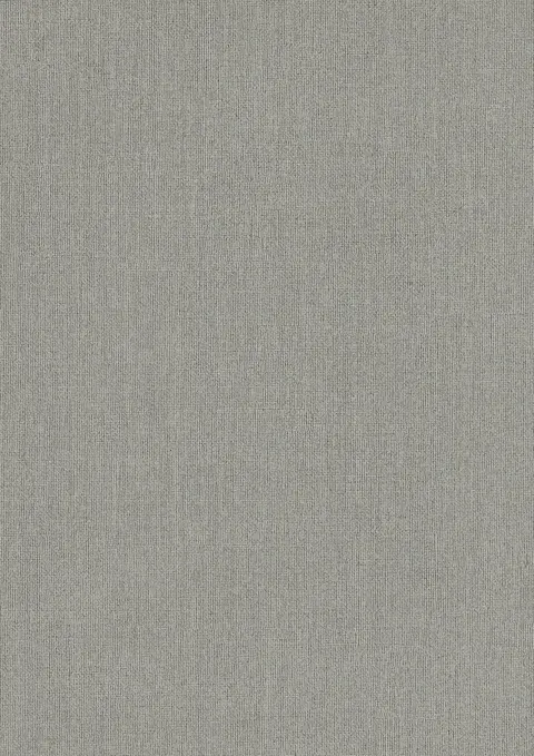 HZ 3024 D Greige Textile