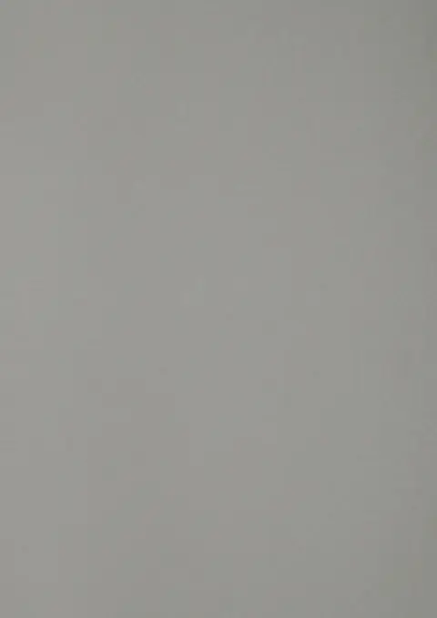 HZ 3029 BW White Denim