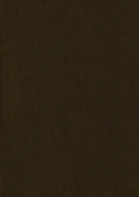 HZ 6001 G Bronze Leather Glossy