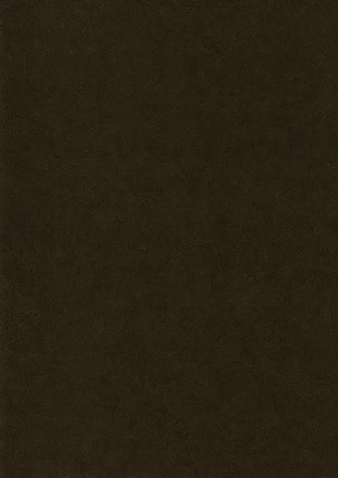 HZ 6001 KU Bronze Leather
