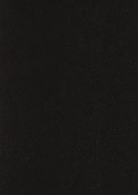 HZ 6002 G Smoky Shimmer Leather Glossy