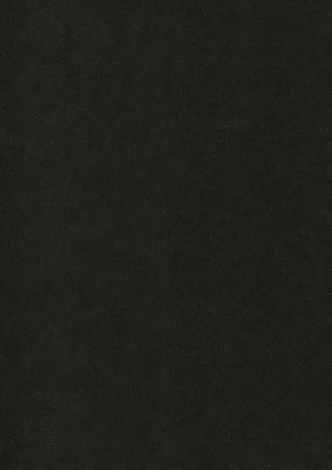 HZ 6002 KU Smoky Shimmer Leather