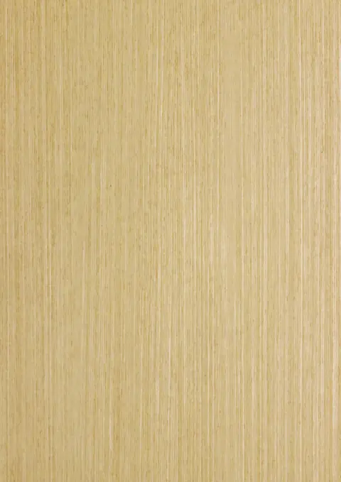 HZ 601 D Chocolate Callisto P.