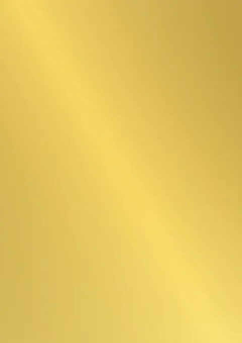 HZ 8002 MG Gold