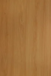 hz 101 eD - Light Europea Maple - Homega