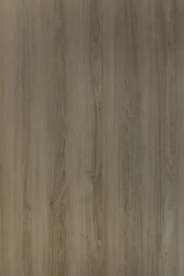 hz 2009 sd - Gina Itadori Elm homega