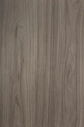 hz 219 sd - Geneva Elm homega