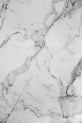 hz 2910 sd - Milky Ramone homega