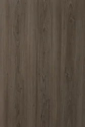 hz 424 sd - Fernor Walnut homega